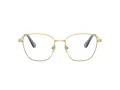 Swarovski Brillen SK 1019 4021