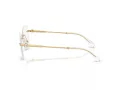 Swarovski Brillen SK 1021 4004