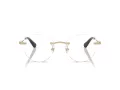 Swarovski Brillen SK 1021 4013