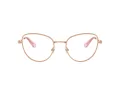 Swarovski Brillen 1022 4014