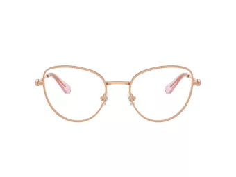 Swarovski Brillen 1022 4014