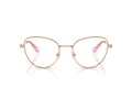 Swarovski Brillen 1022 4014