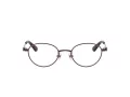 Swarovski Brillen SK 1028TD 4041