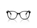 Swarovski Brillen SK 2002 1001