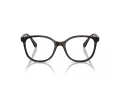 Swarovski Brillen SK 2002 1002