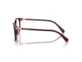 Swarovski Brillen SK 2002 1008