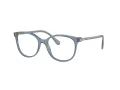 Swarovski Brillen SK 2002 1035