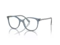 Swarovski Brillen SK 2002 1035