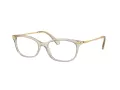 Swarovski Brillen SK 2017 3003