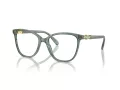 Swarovski Brillen SK 2020 1043