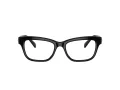Swarovski Brillen SK 2022 1001