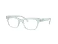 Swarovski Brillen SK 2022 1024
