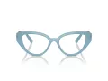 Swarovski Brillen SK 2024 2004