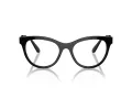 Swarovski Brillen SK 2025 1001