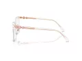 Swarovski Brillen SK 2026D 1027