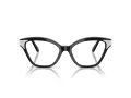Swarovski Brillen SK 2029 1001