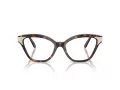 Swarovski Brillen SK 2029 1002