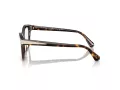 Swarovski Brillen SK 2029 1002