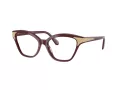 Swarovski Brillen SK 2029 1008