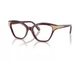 Swarovski Brillen SK 2029 1008