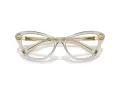 Swarovski Brillen SK 2031 3003