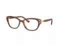 Swarovski Brillen SK 2032 1067