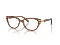 Swarovski Brillen SK 2032 1067