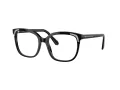 Swarovski Brillen SK 2033 1001