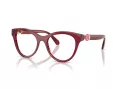 Swarovski Brillen SK 2036 1055