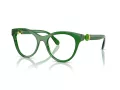 Swarovski Brillen SK 2036 1064
