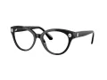 Swarovski Brillen SK 2037 1001