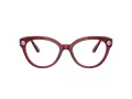 Swarovski Brillen SK 2037 1055