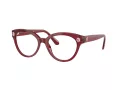 Swarovski Brillen SK 2037 1055