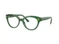 Swarovski Brillen SK 2037 1064