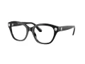 Swarovski Brillen SK 2038 1001