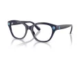 Swarovski Brillen SK 2038 1004