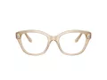 Swarovski Brillen SK 2038 1034