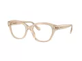 Swarovski Brillen SK 2038 1034