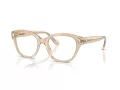 Swarovski Brillen SK 2038 1034
