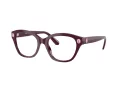 Swarovski Brillen SK 2038 1044