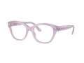 Swarovski Brillen SK 2038 1075