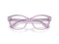 Swarovski Brillen SK 2038 1075