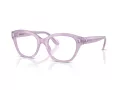 Swarovski Brillen SK 2038 1075