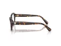Swarovski Brillen SK 2039 1002