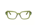 Swarovski Brillen SK 2039 3002