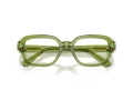 Swarovski Brillen SK 2039 3002