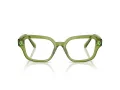 Swarovski Brillen SK 2039 3002