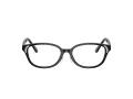 Swarovski Brillen SK 2040D 1001