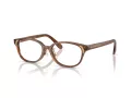 Swarovski Brillen SK 2040D 1067
