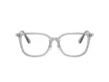 Swarovski Brillen SK 2041D 1069